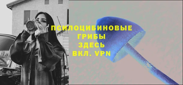 гидра Волосово