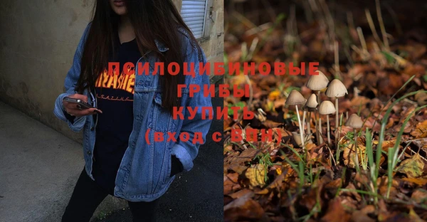 PSILOCYBIN Володарск
