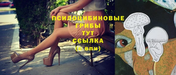 PSILOCYBIN Володарск