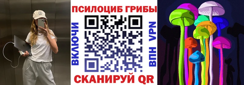 Купить закладки  Кохма  Галлюциногенные грибы GOLDEN TEACHER 